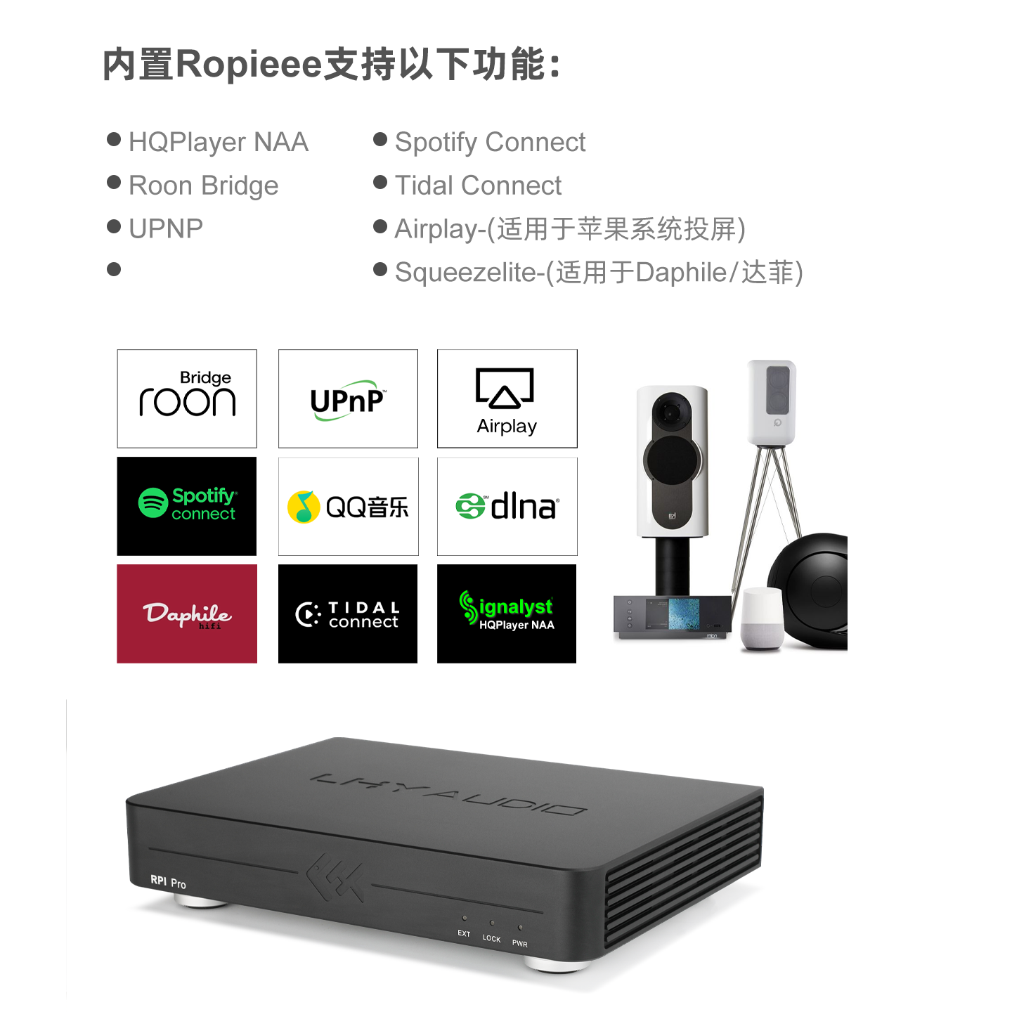 Pemutar Musik Digital Tiger Fi - Audio Music Network ulasan dan harga