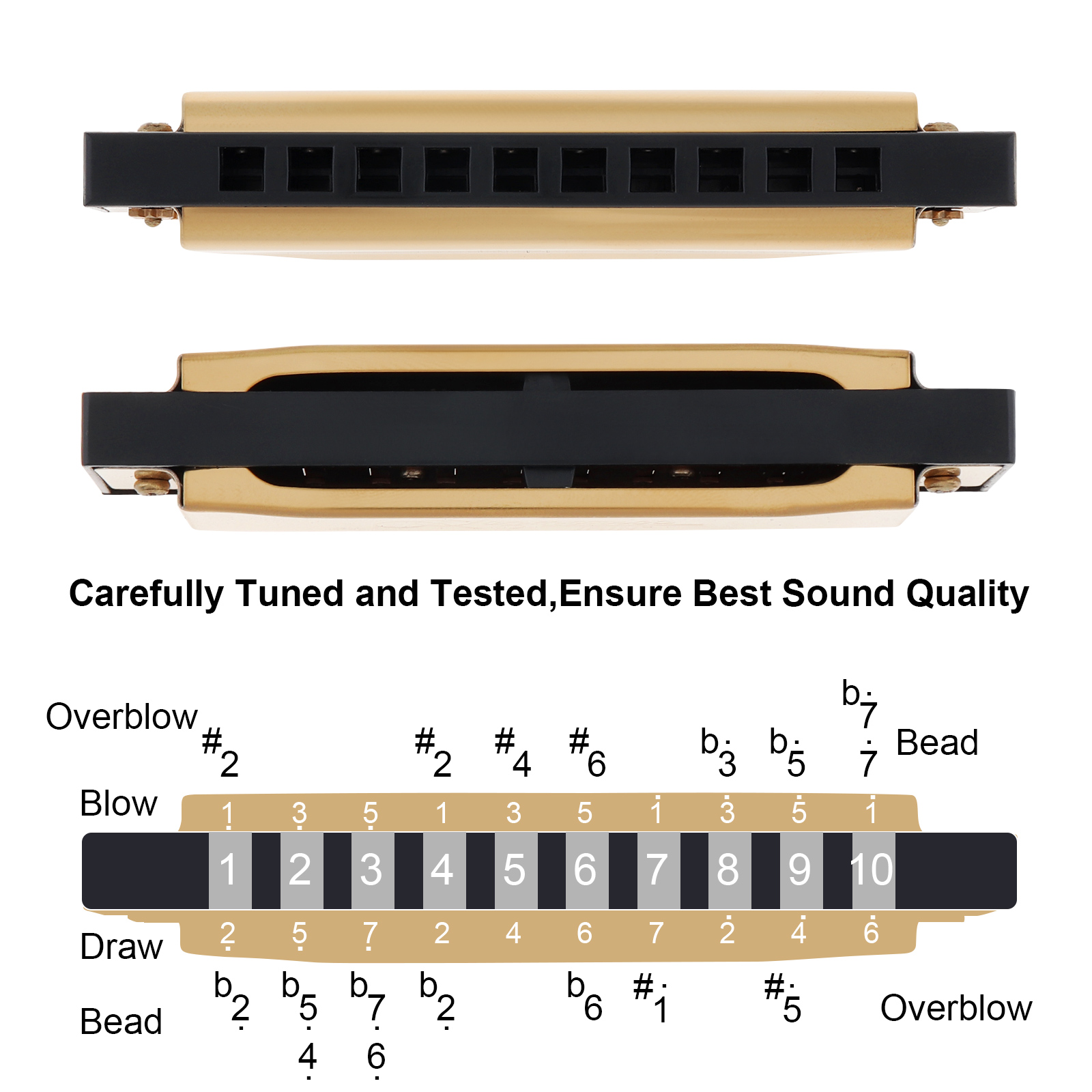Perak/Emas KeyC 10 Lubang 20 N - Harmonica 10 Hole ulasan dan harga